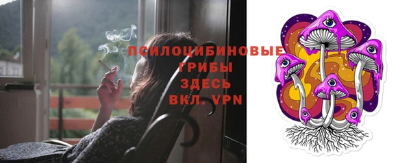 PSILOCYBIN Новокубанск