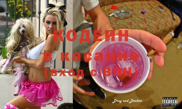 сатива Няндома