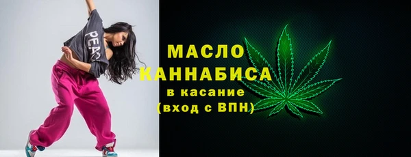 гидра Новодвинск