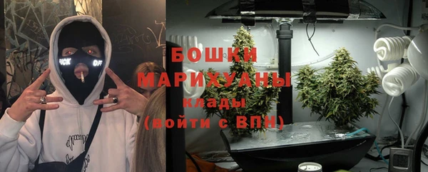 первитин Новозыбков