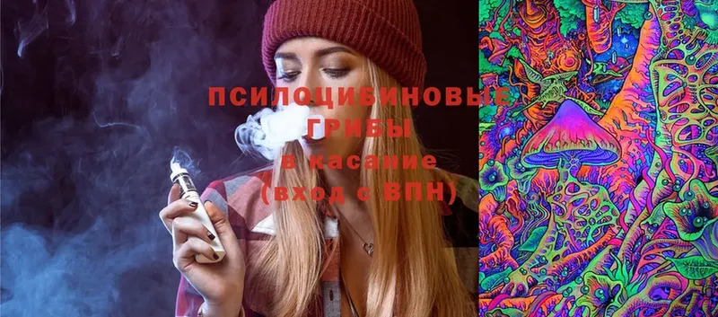 OMG tor  Лабытнанги  Галлюциногенные грибы MAGIC MUSHROOMS 