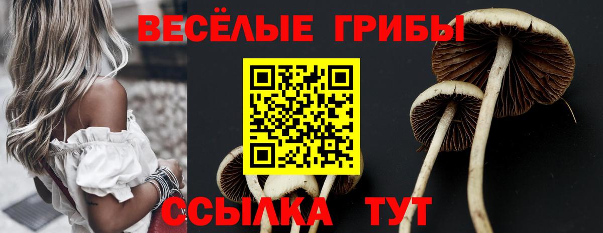 Галлюциногенные грибы Cubensis  Псилоцибиновые грибы мухоморы  Вход с VPN  Лабытнанги 