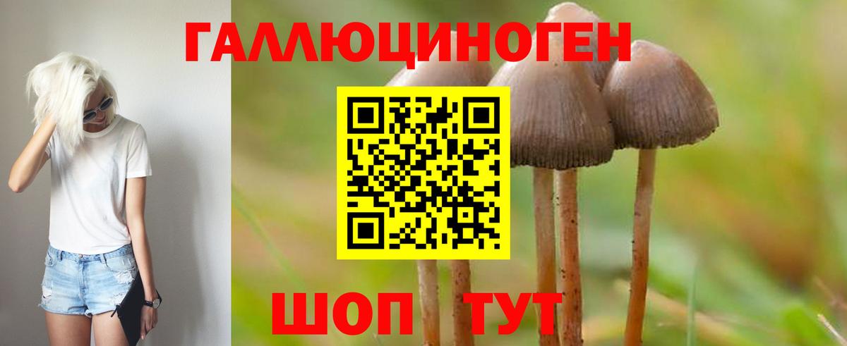 Псилоцибиновые грибы Magic Shrooms Лабытнанги
